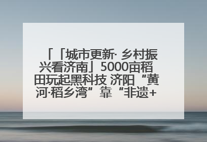 「城市更新· 乡村振兴看济南」5000亩稻田玩起黑科技 济阳“黄河·稻乡湾”靠“非遗+露营”火出圈