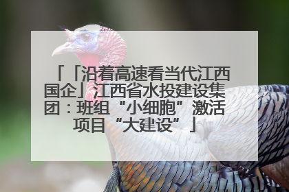 「沿着高速看当代江西国企」江西省水投建设集团：班组“小细胞”激活项目“大建设”