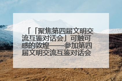 「聚焦第四届文明交流互鉴对话会」可触可感的敦煌——参加第四届文明交流互鉴对话会的外宾参观上元市集