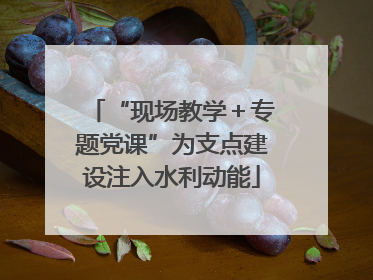 “现场教学＋专题党课”为支点建设注入水利动能