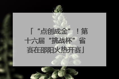 “点创成金”！第十六届“挑战杯”省赛在邵阳火热开赛