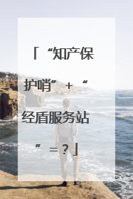 “知产保护哨”+“经盾服务站”=？