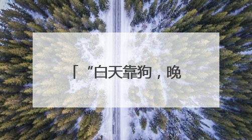 “白天靠狗，晚上靠灯”！菌子近期疯长！别乱捡