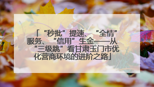 “秒批”提速、“全情”服务、“信用”生金——从“三级跳”看甘肃玉门市优化营商环境的进阶之路