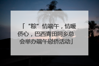 “粽”情端午，情暖侨心，巴西青田同乡总会举办端午慰侨活动