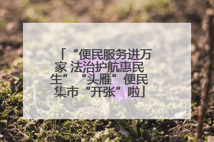 “便民服务进万家 法治护航惠民生”“头雁”便民集市“开张”啦