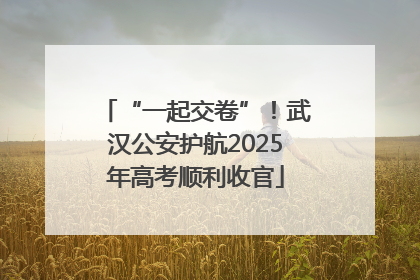 “一起交卷”！武汉公安护航2025年高考顺利收官