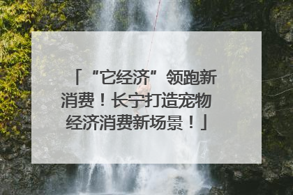 “它经济”领跑新消费！长宁打造宠物经济消费新场景！