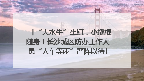 “大水牛”坐镇，小撬棍随身！长沙城区防办工作人员“人车等雨”严阵以待