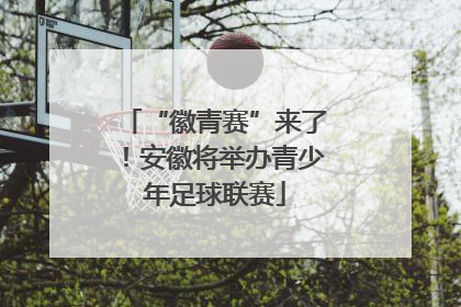 “徽青赛”来了！安徽将举办青少年足球联赛
