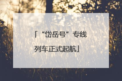 “岱岳号”专线列车正式起航