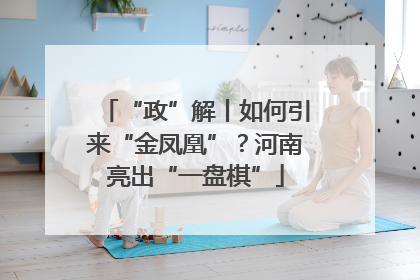 “政”解丨如何引来“金凤凰”？河南亮出“一盘棋”
