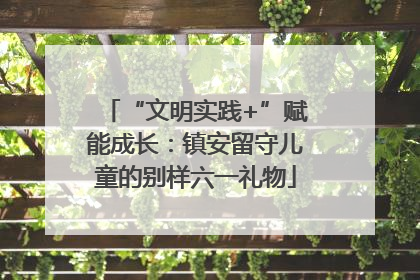 “文明实践+”赋能成长：镇安留守儿童的别样六一礼物