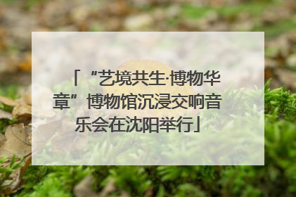 “艺境共生·博物华章”博物馆沉浸交响音乐会在沈阳举行