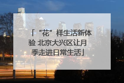 “花”样生活新体验 北京大兴区让月季走进日常生活