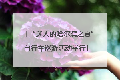 “迷人的哈尔滨之夏”自行车巡游活动举行