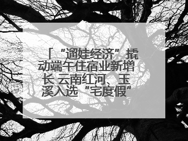 “遛娃经济”撬动端午住宿业新增长 云南红河、玉溪入选“宅度假”宝藏小城