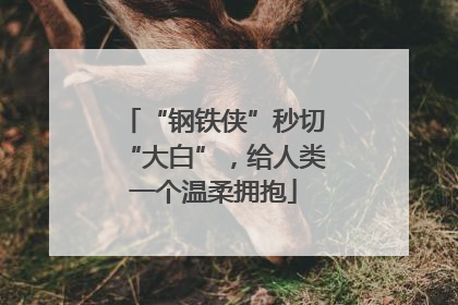 “钢铁侠”秒切“大白”，给人类一个温柔拥抱