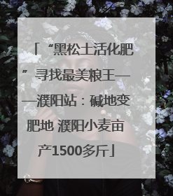 “黑松土活化肥”寻找最美粮王——濮阳站：碱地变肥地 濮阳小麦亩产1500多斤