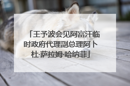 王予波会见阿富汗临时政府代理副总理阿卜杜·萨拉姆·哈纳菲