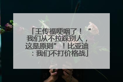 王传福哽咽了！“我们从不拉踩别人，这是原则”！比亚迪：我们不打价格战