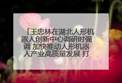 王忠林在湖北人形机器人创新中心调研时强调 加快推动人形机器人产业高质量发展 打造具有全国影响力的研发创新基地