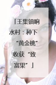 王集镇响水村：种下“黄金桃” 收获“致富果”