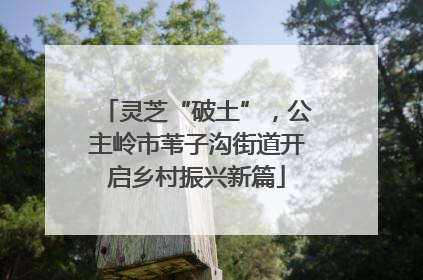 灵芝“破土”，公主岭市苇子沟街道开启乡村振兴新篇