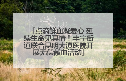 点滴鲜血凝爱心 延续生命见真情！丰宁街道联合昆明大滇医院开展无偿献血活动