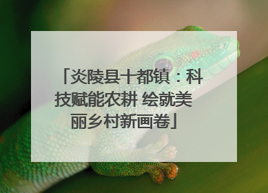 炎陵县十都镇：科技赋能农耕 绘就美丽乡村新画卷