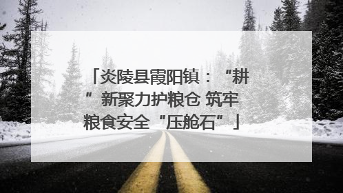 炎陵县霞阳镇：“耕”新聚力护粮仓 筑牢粮食安全“压舱石”