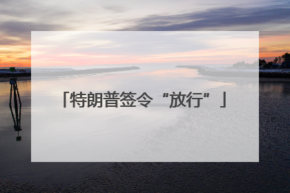 特朗普签令“放行”