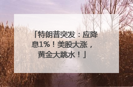 特朗普突发：应降息1%！美股大涨，黄金大跳水！