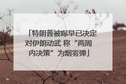 特朗普被曝早已决定对伊朗动武 称“两周内决策”为烟雾弹