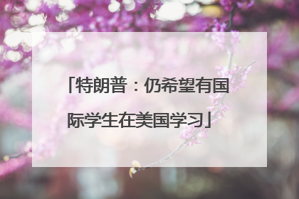 特朗普：仍希望有国际学生在美国学习