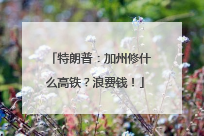 特朗普：加州修什么高铁？浪费钱！