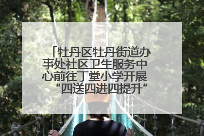 牡丹区牡丹街道办事处社区卫生服务中心前往丁堂小学开展“四送四进四提升”及无烟日宣传活动
