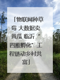 物联网种草莓 大数据卖黄瓜 临沂“四雁孵化”工程链动乡村共富