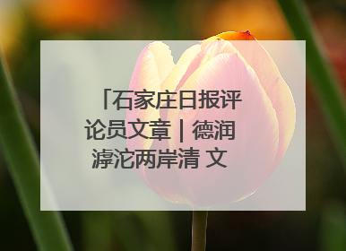 石家庄日报评论员文章｜德润滹沱两岸清 文明花开幸福城