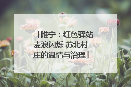 睢宁：红色驿站麦浪闪烁 苏北村庄的温情与治理