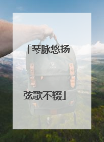 琴脉悠扬 弦歌不辍