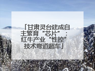 甘肃灵台建成自主繁育“芯片”：红牛产业“性控”技术弯道超车