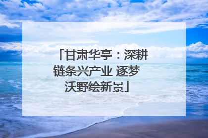 甘肃华亭：深耕链条兴产业 逐梦沃野绘新景