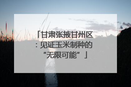 甘肃张掖甘州区：见证玉米制种的“无限可能”