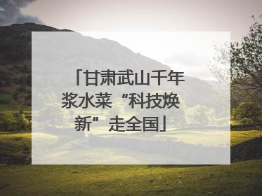 甘肃武山千年浆水菜“科技焕新”走全国