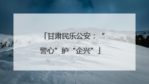 甘肃民乐公安：“警心”护“企兴”