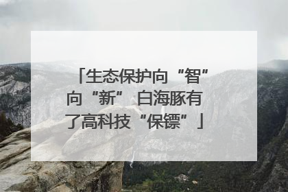 生态保护向“智”向“新” 白海豚有了高科技“保镖”