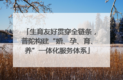 生育友好贯穿全链条，普陀构建“婚、孕、育、养”一体化服务体系