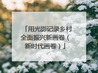用光影记录乡村全面振兴新画卷（新时代画卷）
