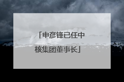 申彦锋已任中核集团董事长